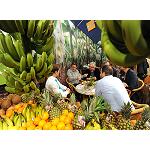 Foto de Los productores de frutas y hortalizas reciben otro baño de masas en Fruit Logistica