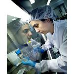 Picture of Iberdrola Engineering and Ainia Technological Centre create a revolutionary system of capture of CO2 and crop of microalgas