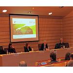 Foto de El agente de biocontrol Candida sake CPA-1 consigue reducir la podredumbre por Botrytis en viñedos