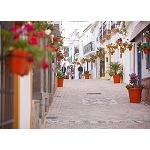 Picture of Estepona Wants to be the ‘Garden of the Costa del Sol'