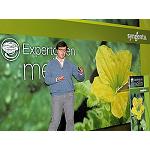 Foto de Syngenta presenta su nueva variedad de melón ‘piel de sapo’