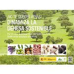 Foto de PEFC apuesta por el monte mediterráneo con el proyecto ‘Dinamiza Dehesa Sostenible’