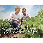 Foto de Nueva identidad visual de Nunhems como Bayer CropScience Vegetable Seeds