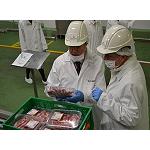 Fotografia de Indústria s'interessa pel nou Sistema d'Eficiència en la Producció de Martínez Loriente