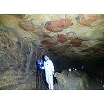Picture of GIM Geomatics Endows the cave of Altamira of documentation 3D for the preventive conservation of his rupestrian art