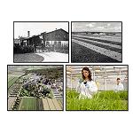 Foto de El centro de Agricultura de BASF de Limburgerhof celebra su 100 aniversario