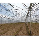 Foto de Ulma Agrícola instala el primer invernadero tipo 'Multicapilla Gótico' de la Huerta de Madrid