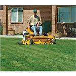 Picture of What lawnmowers are more economic, at the same time that efficient, that the ones of his competition?