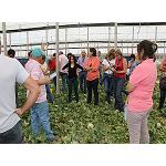 Picture of Fitó Shows Solmarín, his new melon Cantaloup long life and very precocious