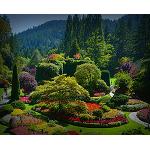 Fotografia de Las cuatro estaciones de los célebres The Butchart Gardens
