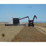 Foto de Case IH reúne en Sevilla a concesionarios de toda Europa en las jornadas técnicas de recolección
