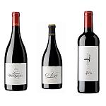 Fotografia de Bodegas y Viñedos Pujanza lanza Finca Valdepoleo, un vino de pago de producción limitada