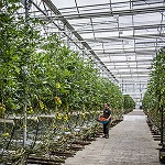 Picture of Un proyecto de eficiencia logística obtiene el premio de Medio Ambiente 2013 de Altas Copco
