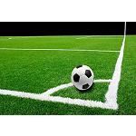 Foto de Innovadoras tecnologías para mejorar el césped de los campos de fútbol