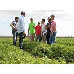 Foto de Rijk Zwaan presenta a la cadena nuevas variedades en melón y sandía
