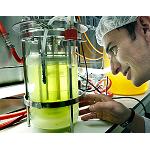 Picture of Cómo emprender en biotecnología