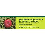 Foto de XVIII Exposición de variedades de melocotón y nectarina