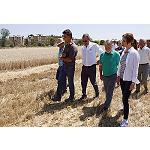 Foto de La Junta de Castilla y León recupera la ayuda a la suscripción de seguros agrícolas
