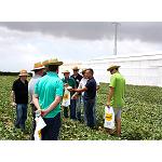 Foto de Nunhems presenta sus soluciones top de melón y sandía