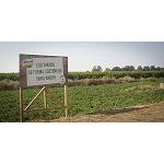 Foto de Knorr apuesta por la sostenibilidad en el desarrollo de sus productos