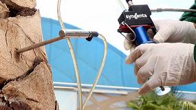 Foto de España aprueba el registro del insecticida Revive II contra el picudo rojo de las palmeras