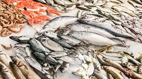 Foto de Crece el consumo de pescado congelado y conservas y disminuye el de producto fresco