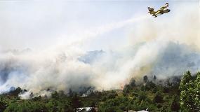 Foto de Menos incendios forestales respecto a la media de la década, pero se destaca imprescindible una gestión integral del monte