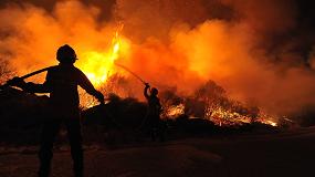 Foto de Emergencia civil por los pavorosos incendios forestales que asolan España