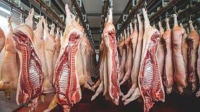 Foto de La producción de carne de porcino resiste al confinamiento y sube un 5,5% en el primer semestre