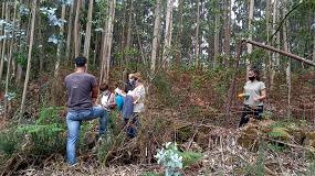 Foto de Sagefer sigue sumando usuarios y entidades que se unen a una gestión eficaz de los bosques
