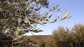 Foto de Syngenta pone a disposición de los olivareros su gama de producto para los tratamientos herbicidas y nutricionales del otoño