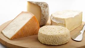 Foto de El consumo de queso en los hogares españoles se incrementa un 11,3% en el último año