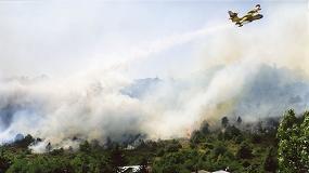 Foto de Los incendios forestales disminuyen en 2020