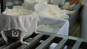 Foto de La oveja Merina mejora sus prestaciones en la producción de leche
