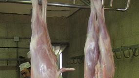 Foto de Mejora la producción de la carne de caprino en septiembre con una subida del 2,7%