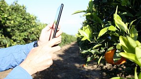 Foto de Kubota invierte en SeeTree, tecnológica especializada en la monitorización de árboles frutales