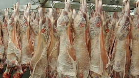 Foto de Nuevo certificado veterinario para la exportación de carne de ovino y caprino a Nueva Zelanda