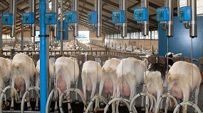 Foto de España tiene un precio un 8,4% inferior a Francia en leche de cabra y un 17,2% superior a Países Bajos