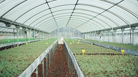 Foto de El valor de la producción hortofrutícola española ascendió a más de 18.000 M€ en 2020