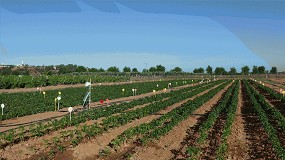 Foto de Los sistemas de apoyo a la toma de decisiones para el manejo de cultivos hortícolas