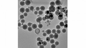 Foto de Gaiker estudia el impacto de los micro y nanoplásticos en la salud