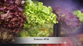 Foto de Sistema AFM - Nebulizao Armrios de Frutas e Legumes (vdeo)