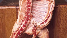 Foto de La producción de ovino de carne se derrumba en las dos Castillas y arrastra a una caída nacional del 9%