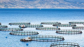 Foto de La acuicultura en Chile ofrece nuevos proyectos a las empresas de tecnología y equipamiento