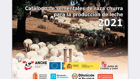 Foto de La raza ovina Churra ya cuenta con los nuevos catálogos de mejorantes de leche y carne en 2021