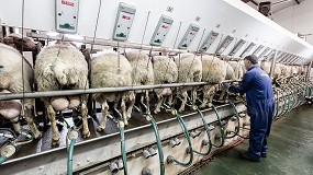 Foto de Frenazo en la caída del número de queserías que adquieren leche de oveja