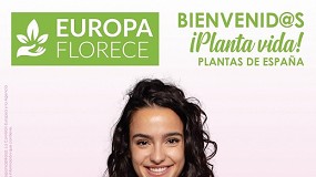 Foto de La exportación española de rosas generó una facturación de 15 M€ en 2020