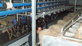 Foto de La leche de oveja destinada a la DOP Queso Manchego sigue al alza y alcanza su tope en el último lustro