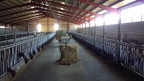 Foto de El censo de productores de leche de cabra aumenta ligeramente respecto al pasado ejercicio