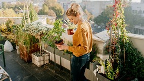 Foto de Cítricos en la jardinería: fragancia y vitamina C en el jardín y el balcón